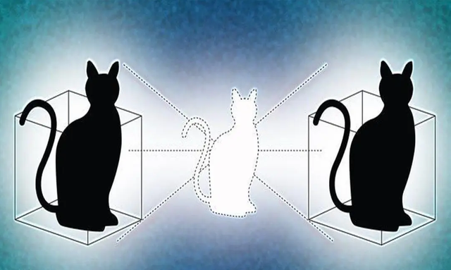 薛定谔的猫是什么意思比喻什么(薛定谔的猫用来解释什么)图13