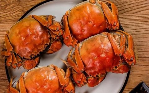 螃蟹公母怎么区分哪个好吃
